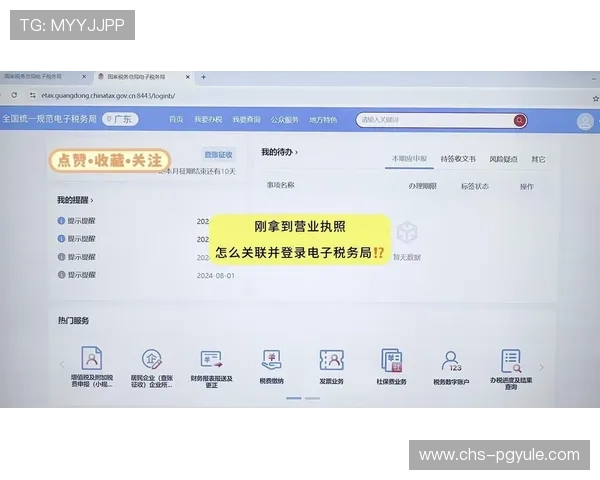 PG官网网页版登录入口全面解析，提供最便捷的登录方式与常见问题解决方案